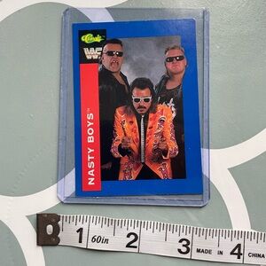 1991 WWF collectors card